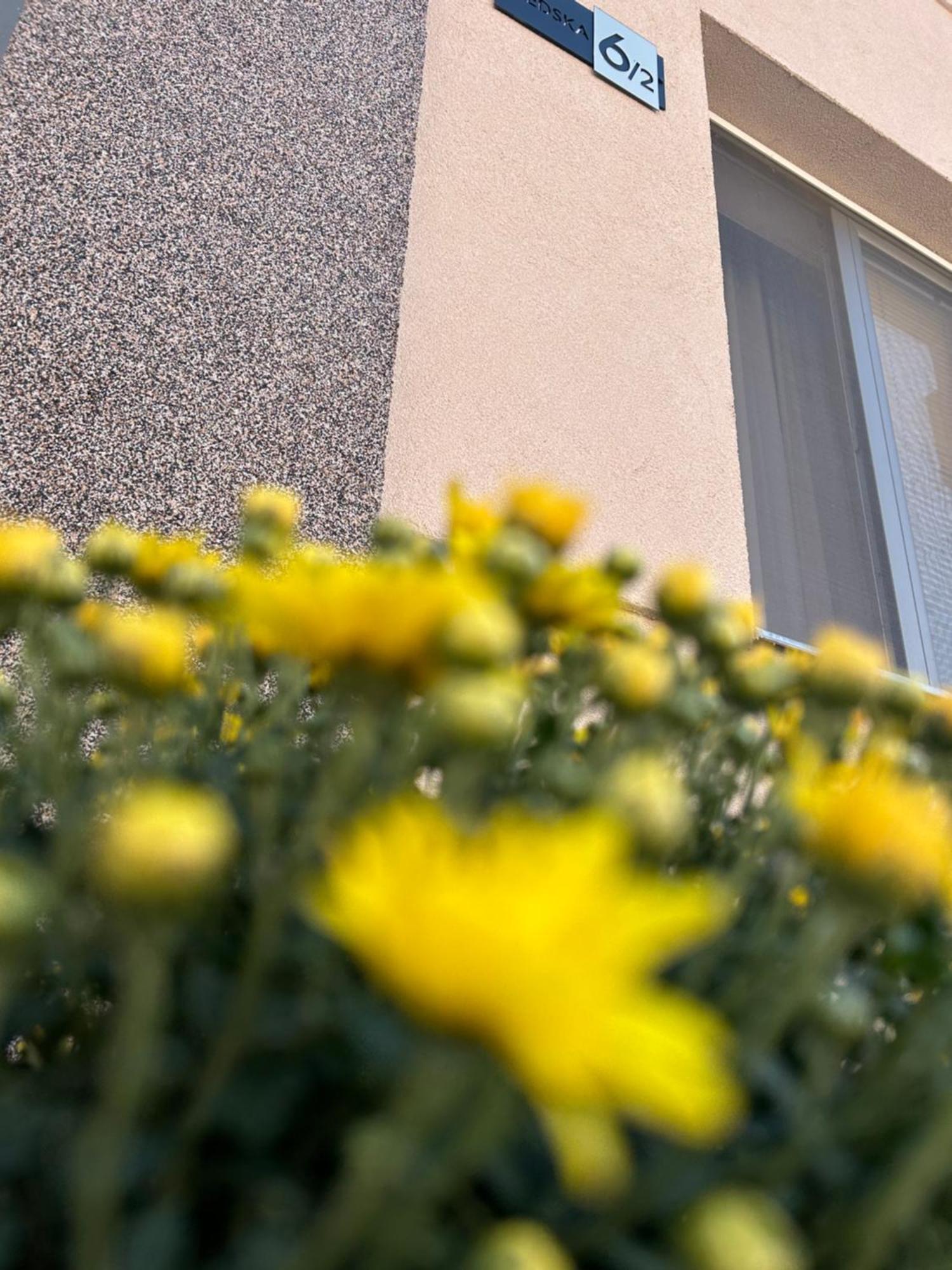 Apartman Tara Суботица Экстерьер фото